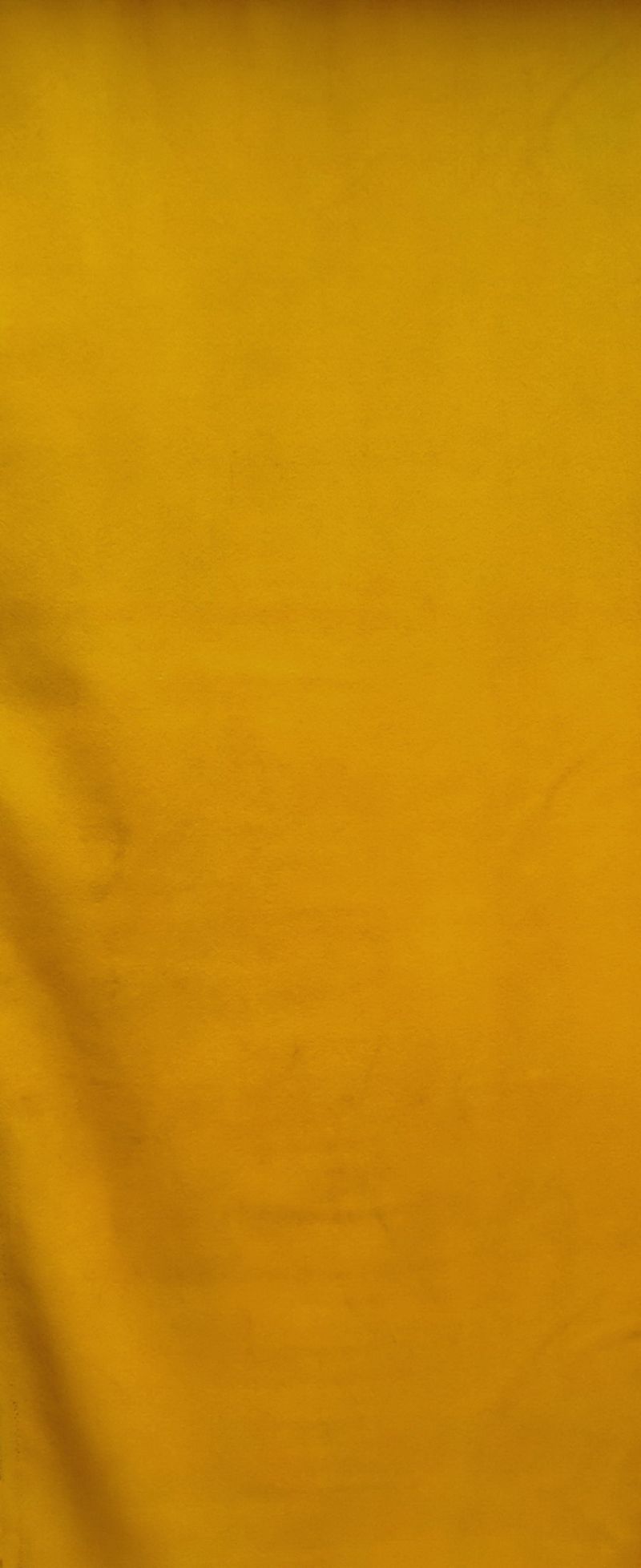 Buckthorn Yellow 3 #2