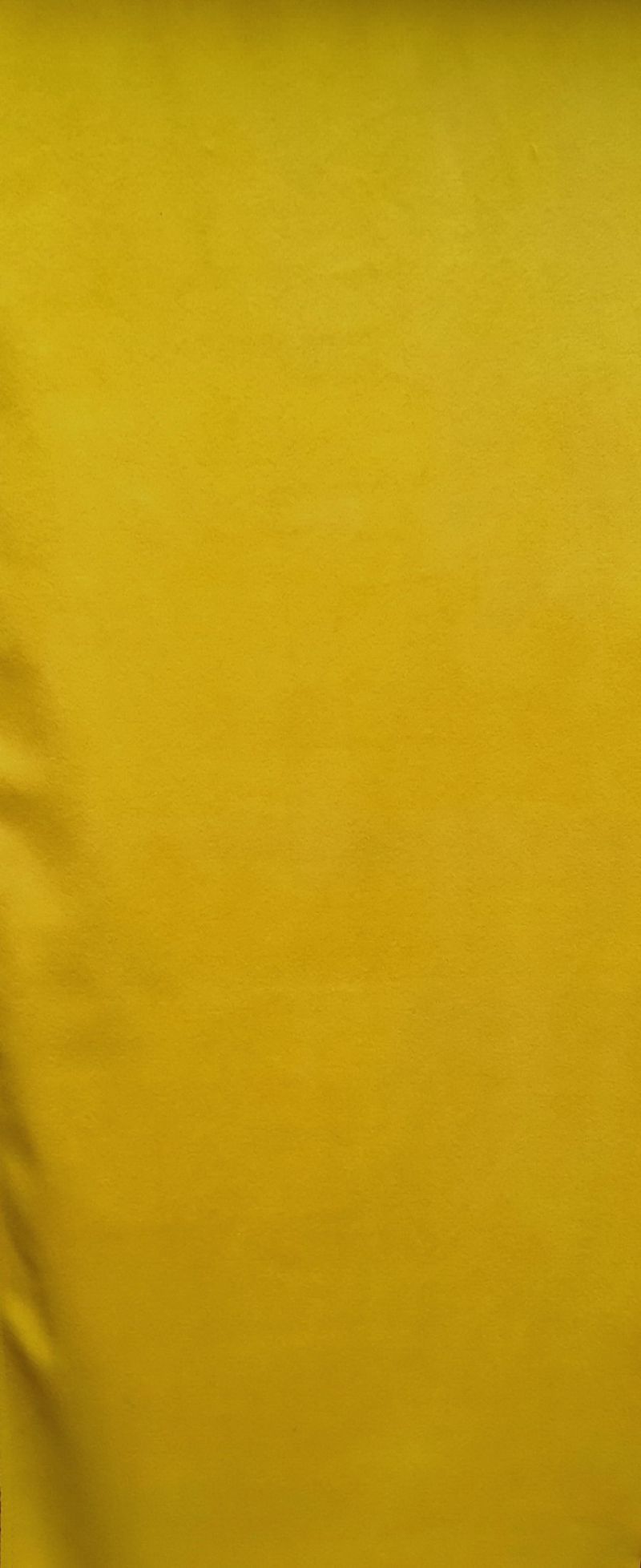 Buckthorn Yellow 4 #2